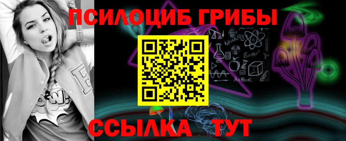 Галлюциногенные грибы мицелий Воскресенск
